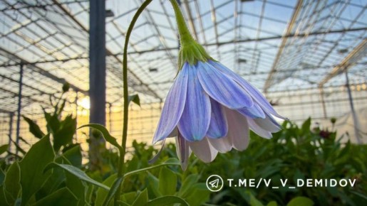 ����� � ��������� ����� �����: ����� ������� � ����������� ����������