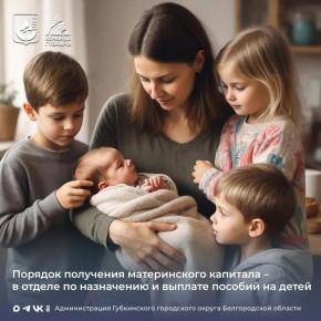 Региональный материнский (семейный) капитал