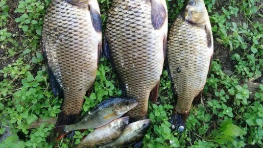 ����� �������� ������� ����� �� ������������� ������ �������� � ���������� �����