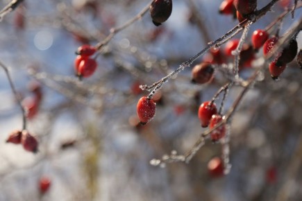 С наступлением тёплой погоды особенно важно беречь здоровье