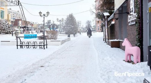 В Белгородской области бизнесу утвердили порядок компенсации ущерба от обстрелов