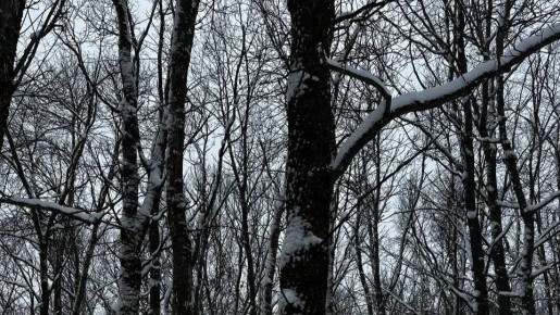 � �������� ����������� ������� ������ �����������