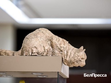 � ��������� ��������� �������� ������ �����������