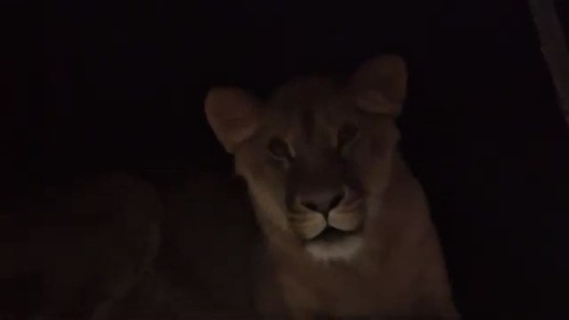 ������ ����� �� ������������� �������� ������� �����