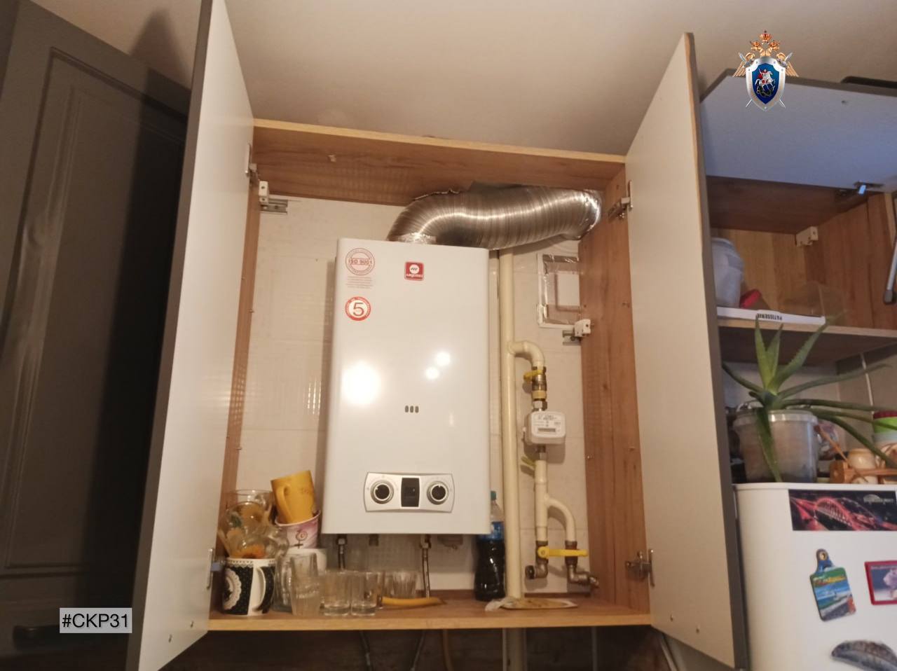 По факту смерти жительницы города Белгорода организовано проведение проверки