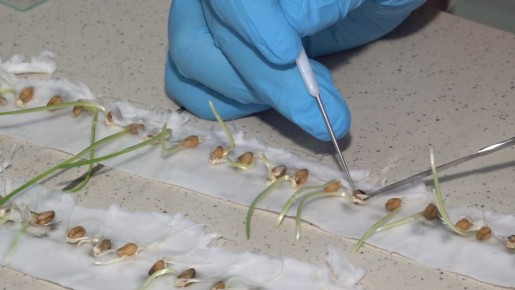 ������������ �������� ��������� � ������������ ����� ���������� ��������������� � ����������� �����������