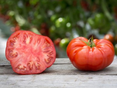 Секреты роста сладких помидоров: как сода поможет вашему урожаю