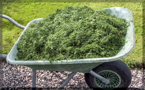 Как использовать скошенную траву на даче: полезные советы для садоводов