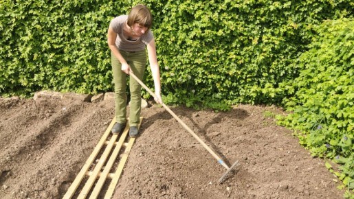 После уборки урожая не стоит перекапывать грядки: вот что нужно сделать с землей
