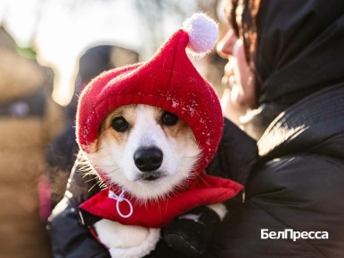 ������ ����, ��������!. ��������� ������� ��� ����� ����� �����������