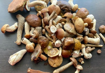 Сочные лесные грибы на зиму: простой рецепт маринования