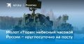 Идеальная пара ПВО малой дальности – «Тор» вместе с «Панцирем»