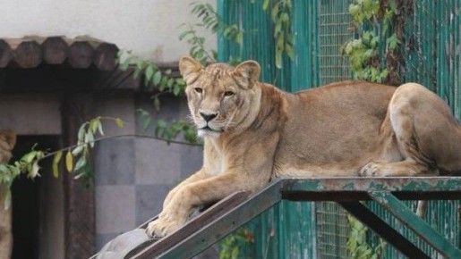 ������ �� ������������� �������� ������ � ����� ��� �������� ����