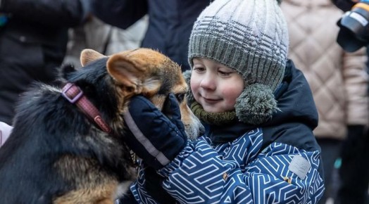 Как отдохнуть белгородцам 30 января – 1 февраля