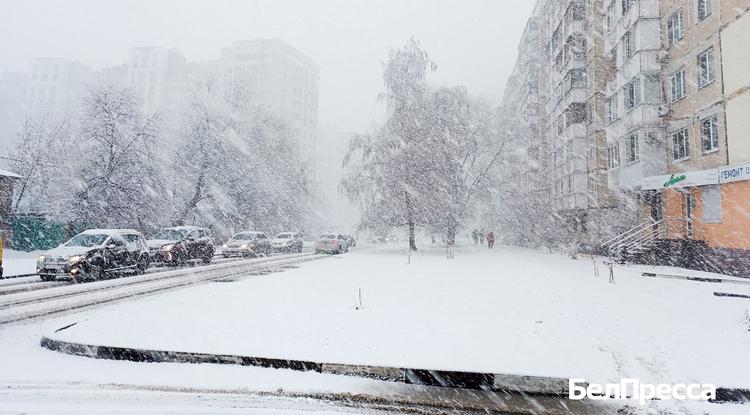 Почему морозы в Белгороде называют аномальными?