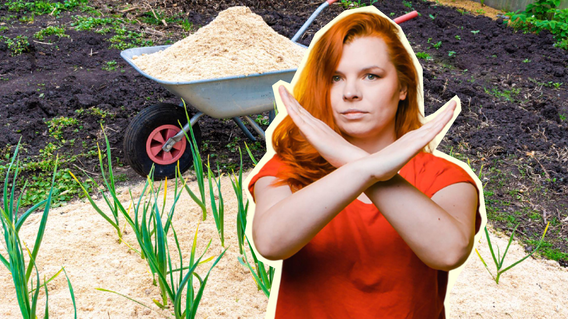 Вот почему опытные дачники не мульчируют грядки свежими опилками: проблему легко решить