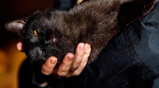 ������������ ��������� � ������������ ������� ����� ��������� �� �������������� ����� ������