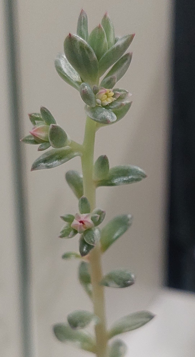 Результаты увлекательного эксперимента