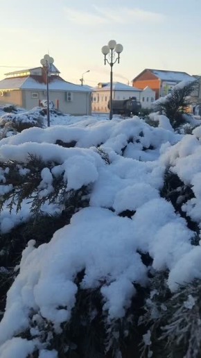 Доброе утро, друзья. Сегодня морозно – одевайтесь теплее! Заснеженный Грайворон в объективе Алексея Тараник