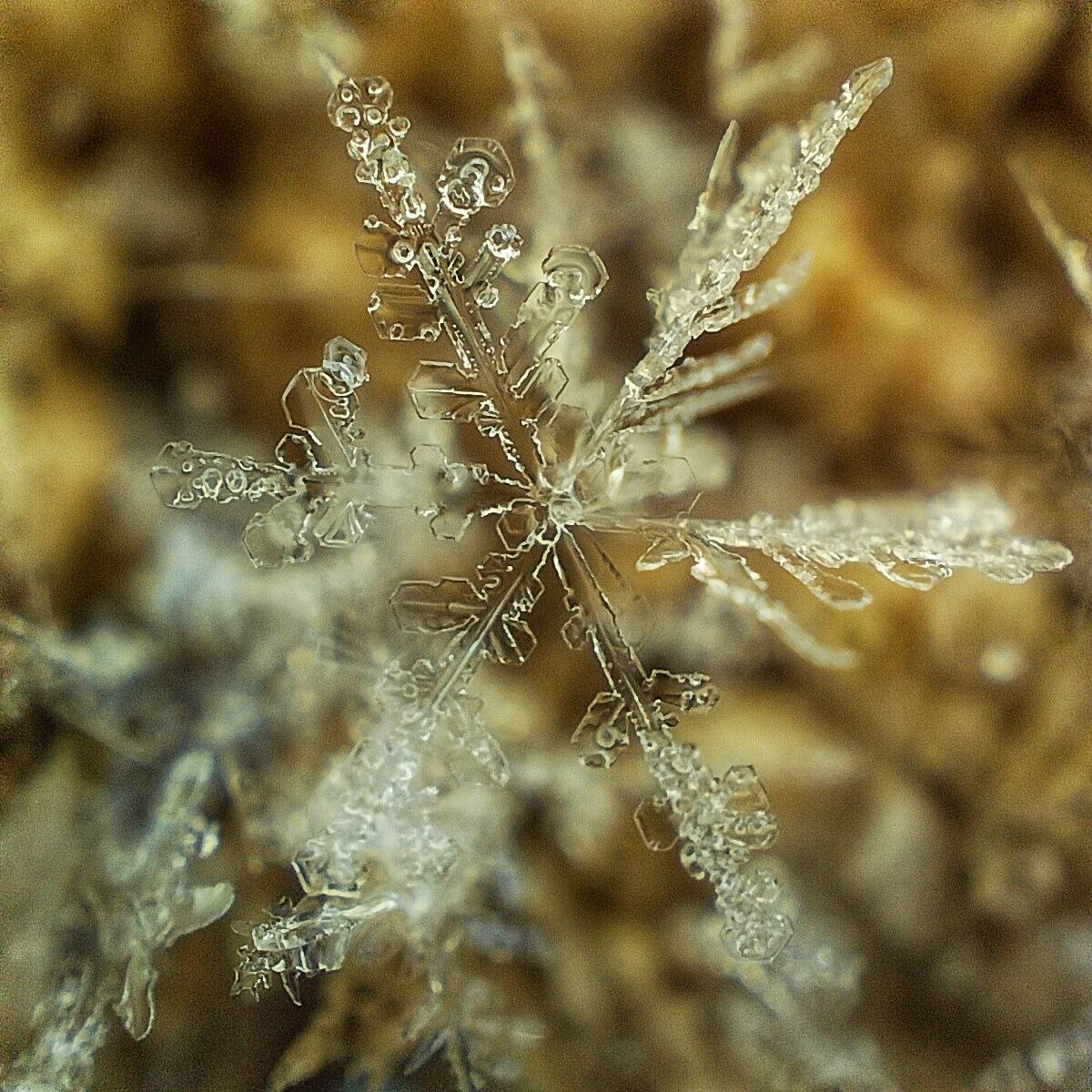 В субботу, 31 января, будет облачно