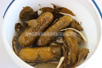 ��� ��������� ������ � �����: ������� ������ �� ����