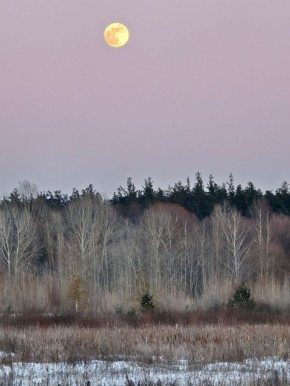 Снежная Луна взошла сегодня