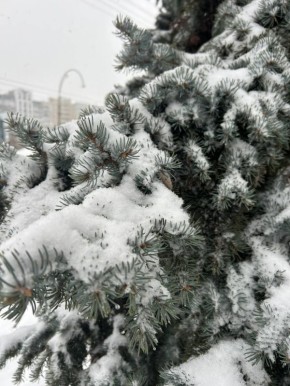 Доброе утро, белгородцы!. 1 февраля обещает быть морозным