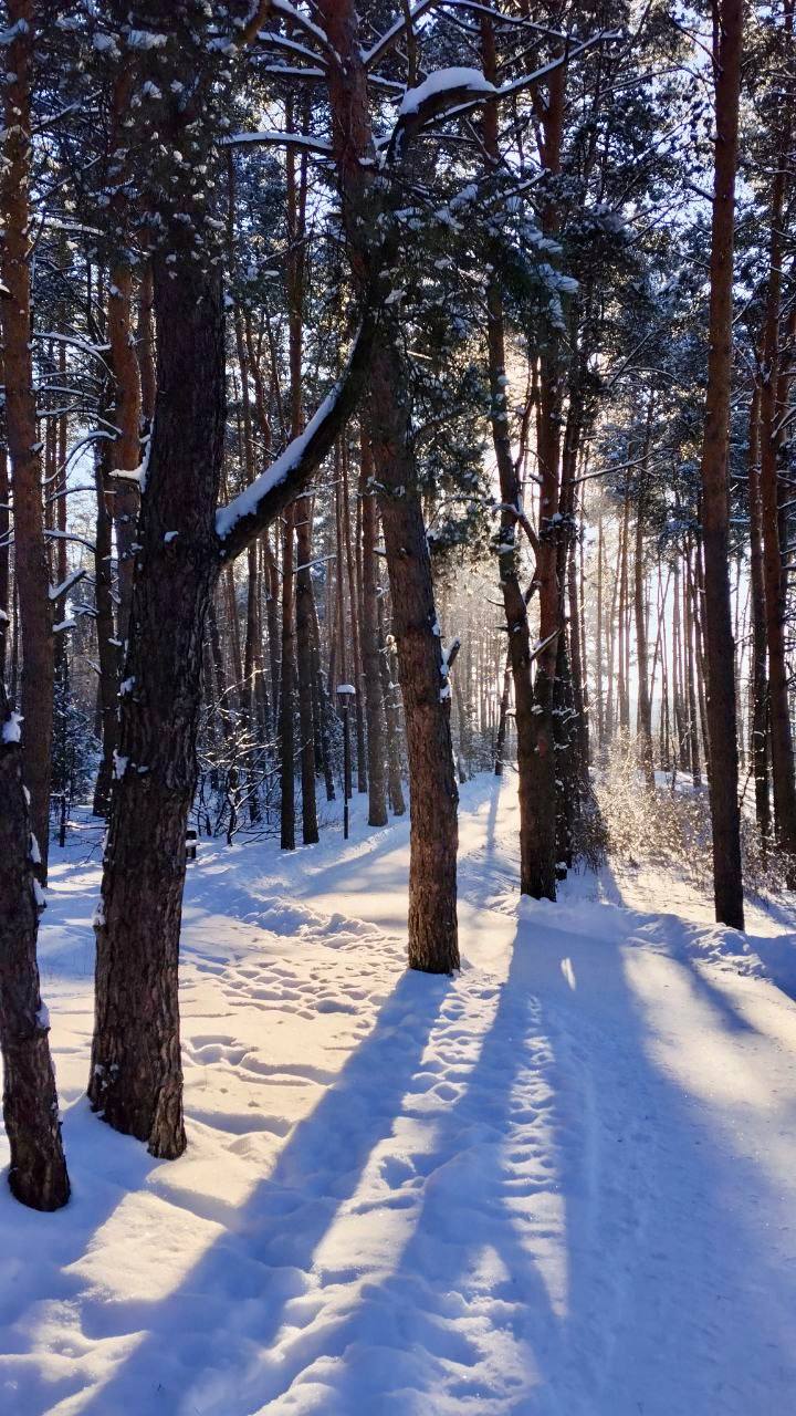Какая красота в Пикник-Парке