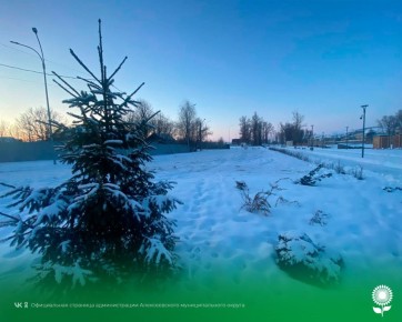 1 Февраля. Температура воздуха -16°C, облачно, снег