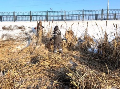 В рамках обеспечения комплексной безопасности на территории нашего округа проводятся плановые мероприятия по расчистке береговых линий