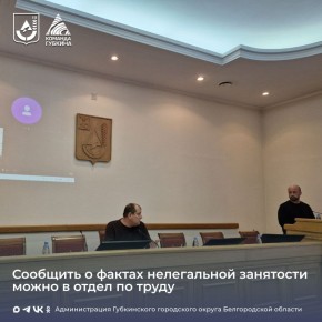 Состоялось заседание рабочей группы по противодействию нелегальной занятости