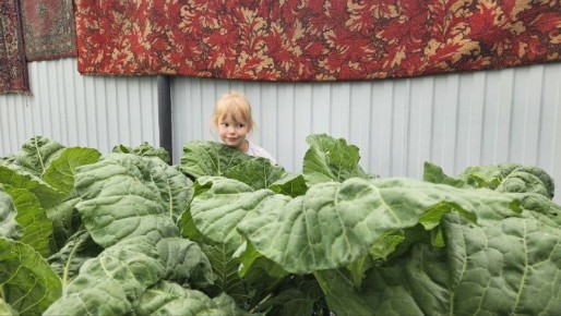 ��� �������� �������� �� ��������: ���� ����� ��� ������ ����