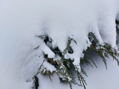 Сегодня, 2 февраля, будет переменная облачность