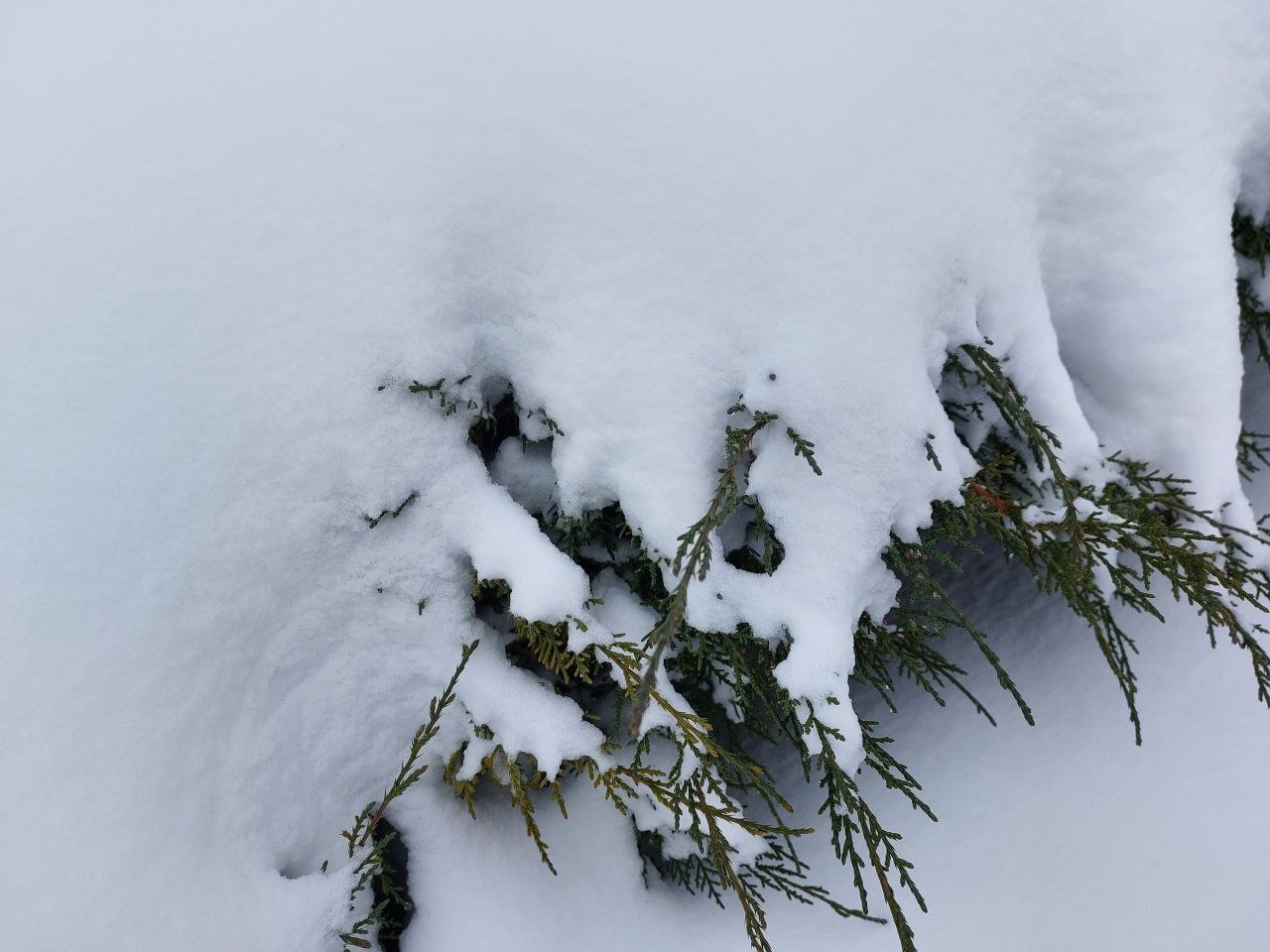 Сегодня, 2 февраля, будет переменная облачность