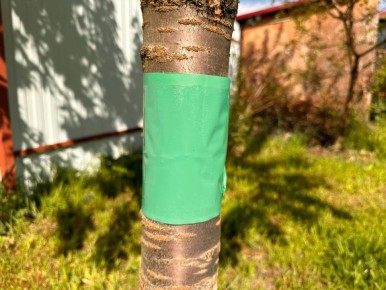 ������� � ����: ������� ��������� ������ ������ ��� �����