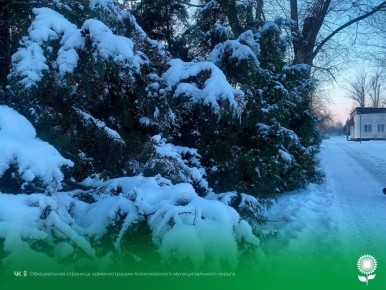 2 Февраля. Температура воздуха -18°C, облачно, без осадков