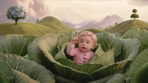 Когда семья растёт — растёт и счастье