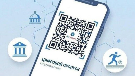 В Белгородской области для участников СВО ввели цифровой пропуск в музеи и спортзалы