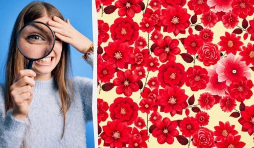 ����� �������� ����� ������: ������ 1% ������ ���������� �� 10 ������