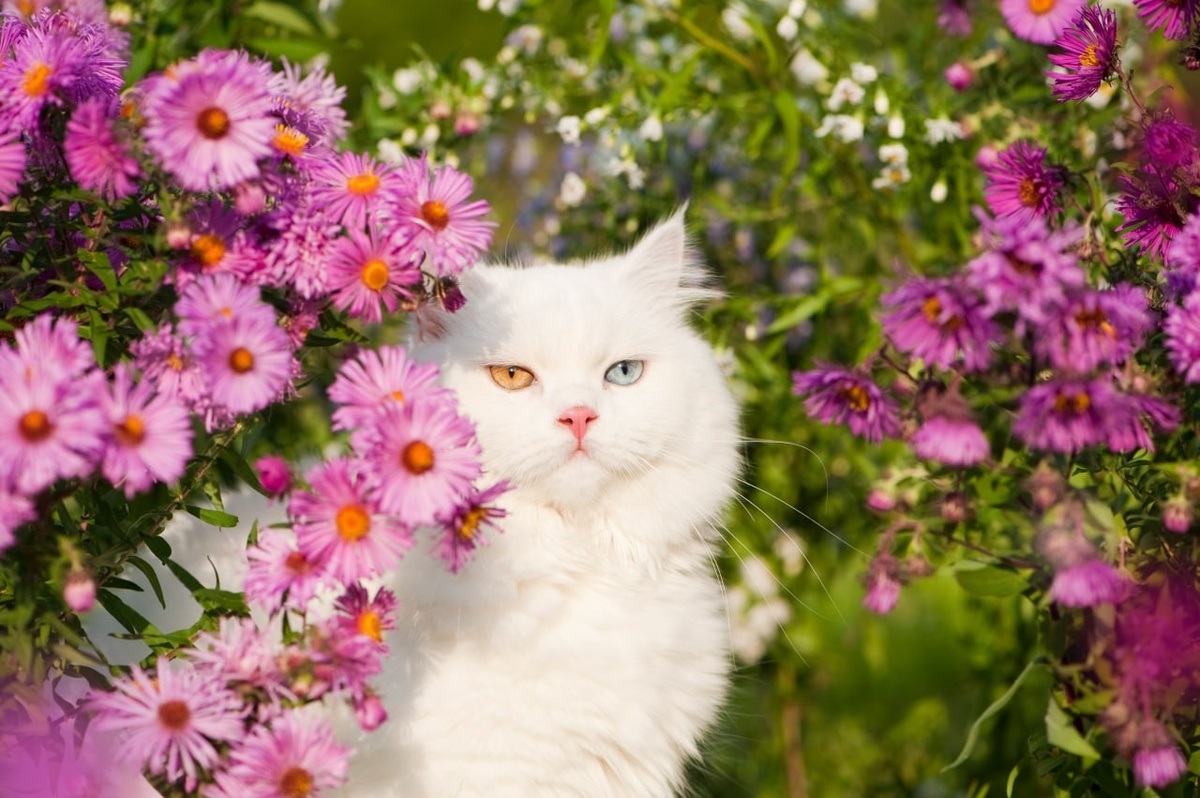 Что нового на Огород: свежие идеи и полезные советы