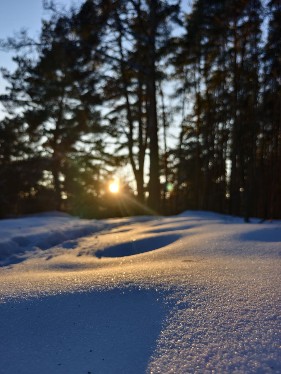 Сегодня, 3 февраля, нас ждёт переменная облачность