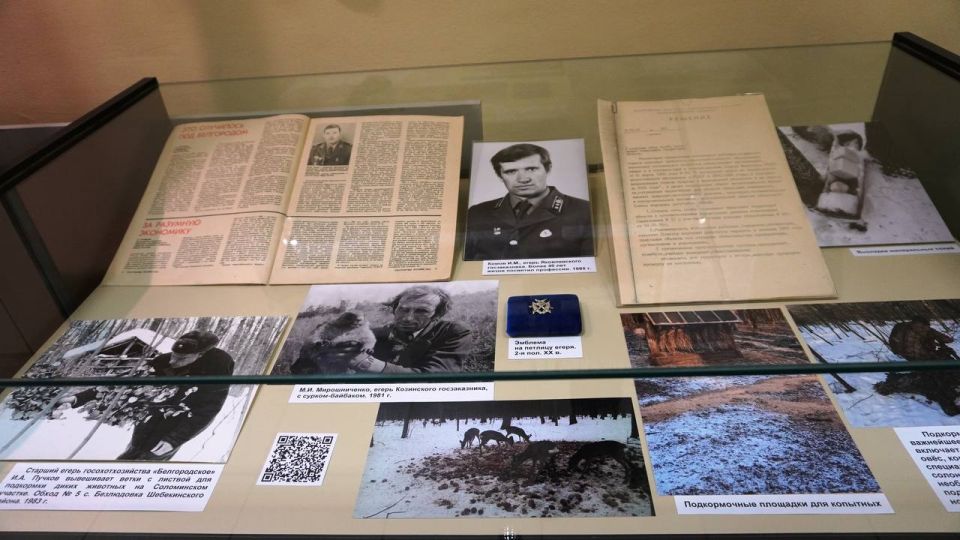 В Белгородском государственном историко-краеведческом музее продолжает работу выставка «Заповедное Белогорье», рассказывающая об особо охраняемых природных территориях Белгородской области