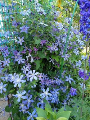 ������� ������� �������� ����������: ��� ��������� ������������� ��������