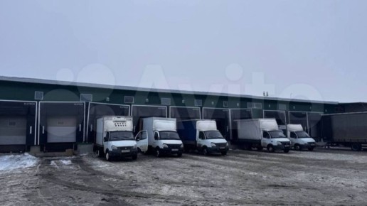 � ��������� ���� ���������� ��� ������ Wildberries