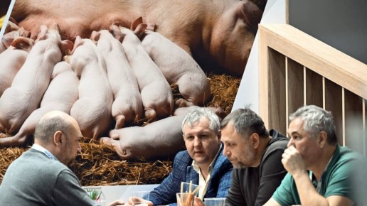 ���� �� ������� ����������: ��� ���� �����?