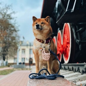 ����� 400 �������� �������� ���������� ��� ������������� ���������� � ������� ������� �������� � 2025 ����