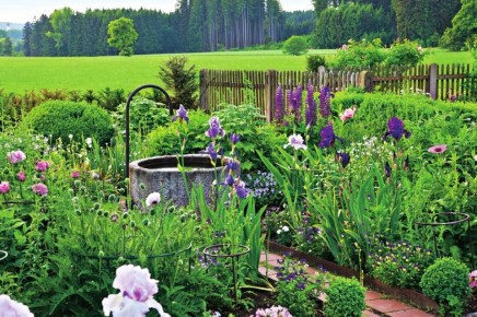 ��� ������ ����� ����������� ��� ���: ������������� ����