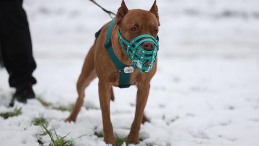 ��� ����� �������� ����� ���������� � ����� ������ ��������