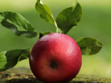 ����������� ������ ��������� ������ �� ������: ������� �� ������