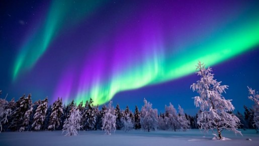 �������� �������� ��� ������������ ������ ��������� ����